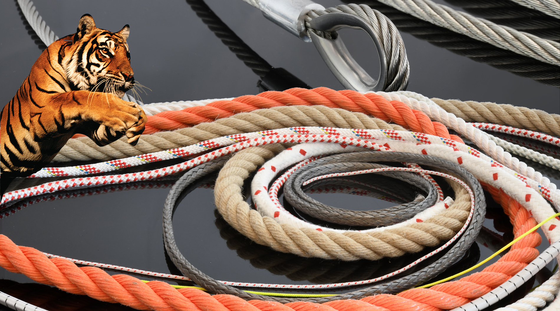 Anschlagseile › Drahtseile › Drahtseilzubehör › Spezialseile › Kabelziehstrümpfe › Standardseile › Anschlagpunke&hellip;